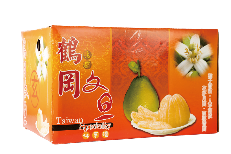 劉子玄文旦