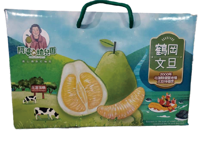 宏文旦柚