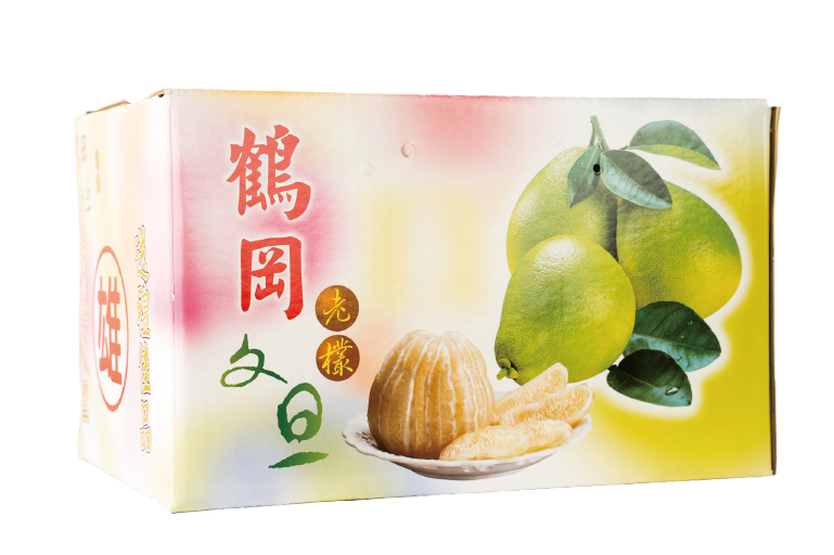 雄文旦柚