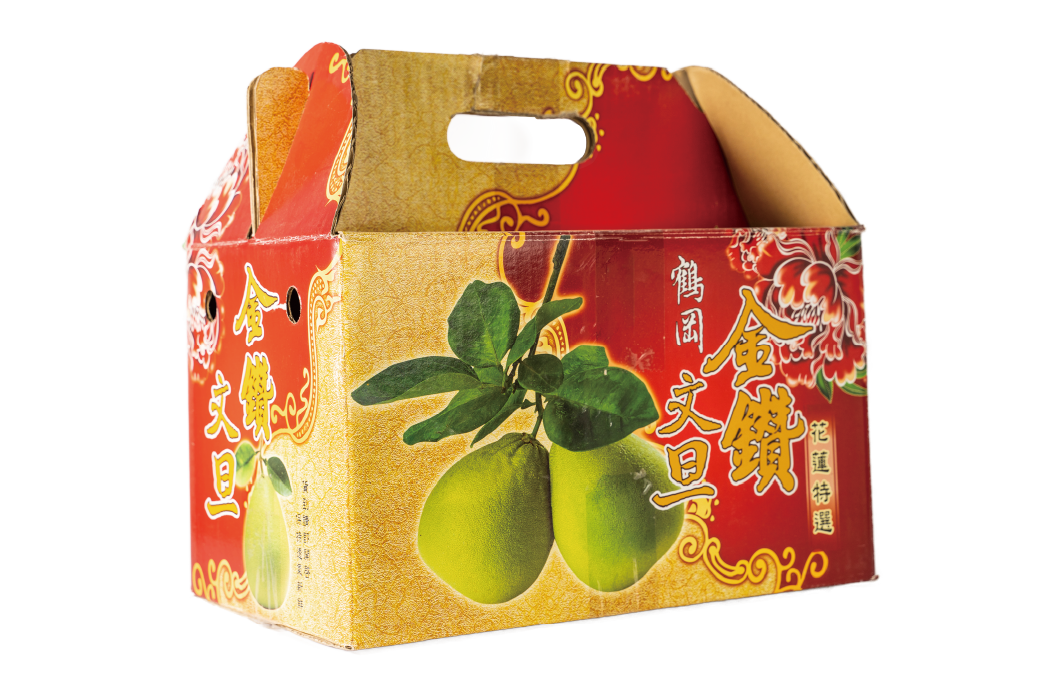 鶴岡金鑽文旦