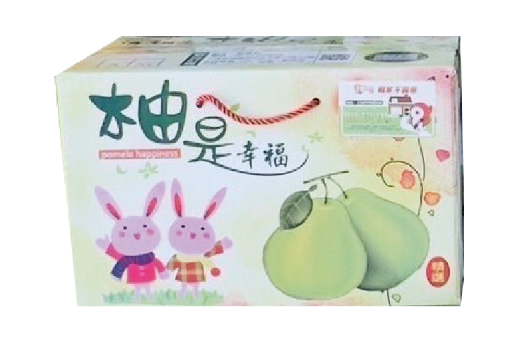 黃振東文旦包裝場